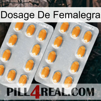 Femalegra Dosage cialis4
